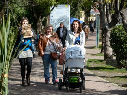 До +20 градусов: сколько в Краснодарском крае продержится аномальное тепло