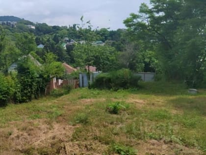 Депутат Госдумы от Кубани вступился за сочинских садоводов