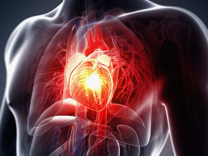 Болезни сердца: 4 самых распространенных диагноза, признаки которых вы обязаны знать