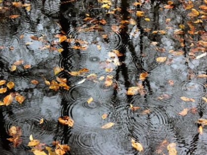 В Краснодарском крае объявлено штормовое предупреждение