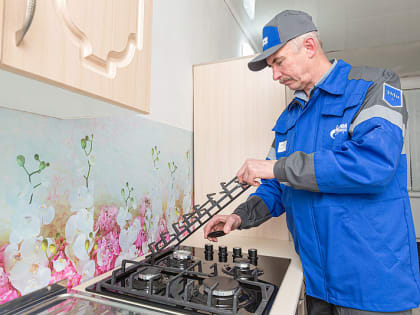 ТО в газифицированных домах и квартирах смогут проводить только газораспределительные организации