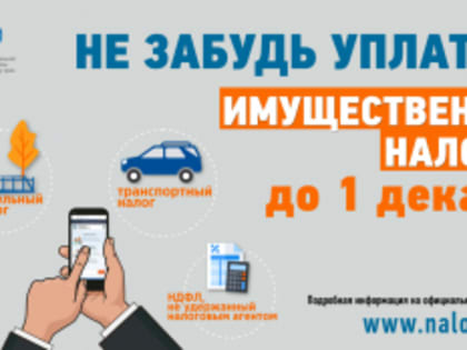 1 декабря - единый срок уплаты имущественных налогов