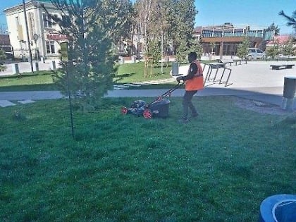 Сезон жужжания косилок: службы городского хозяйства избавляют Белореченск от назойливой травы