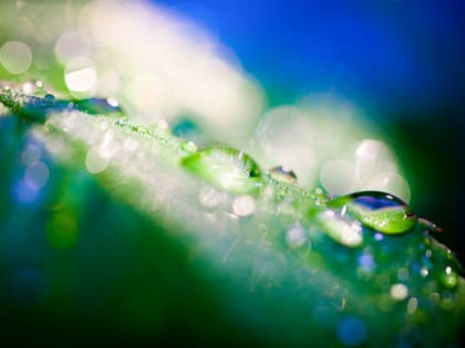 Погода на Кубани: в выходные ожидаются дожди