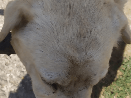 Новые инициативы по улучшению городской инфраструктуры