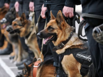 Полиция Ейска информирует о мерах антитеррористической безопасности