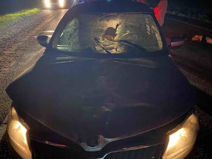 Предварительно установлено следующее