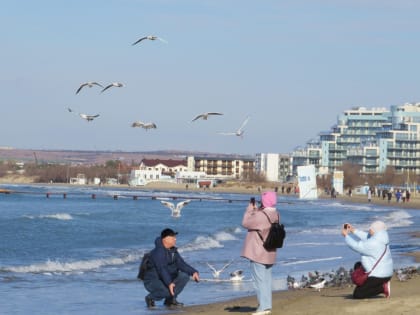 В Анапе 18 января воздух прогреется до +11