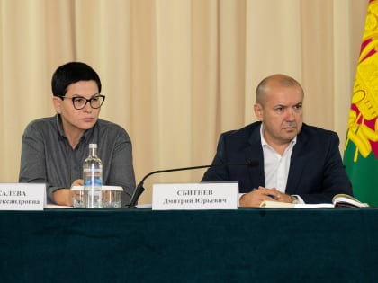 Глава Сочи Алексей Копайгородский провел сход жителей в Адлерском районе курорта