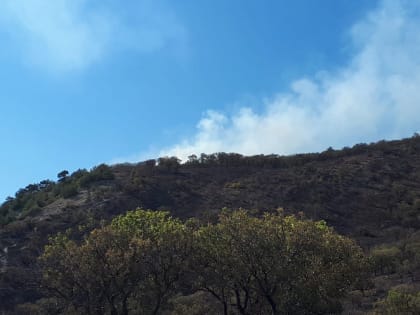 Сохраняйте спокойствие: в горах Новороссийска проведут штабную тренировку со средствами задымления