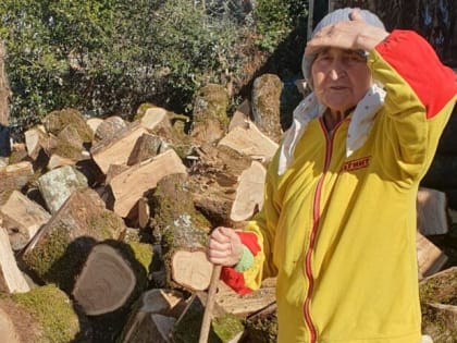 Председатель Городского Собрания Сочи Виктор Филонов помог пенсионерке в закупке дров