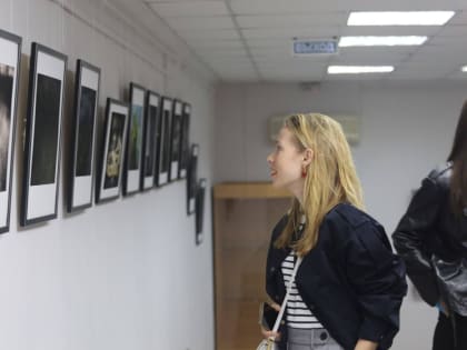 Ценители искусства, окунитесь в мир живописи