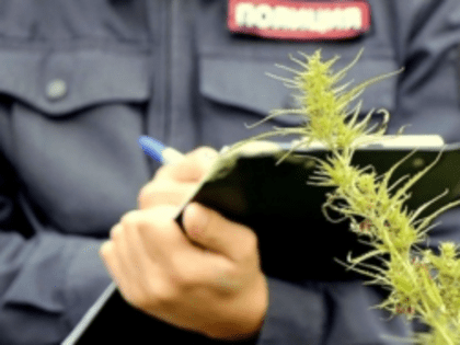 Операция «Мак-2023»