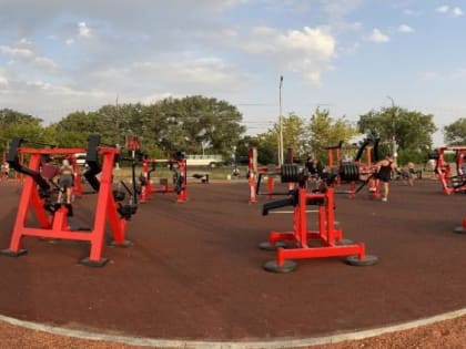 Новороссийцы выбрали место для народного фитнес-парка в самом центре городе