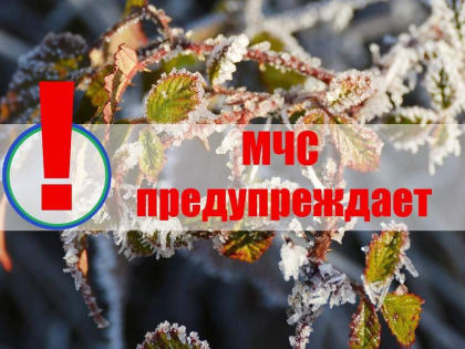 Внимание! Экстренное предупреждение