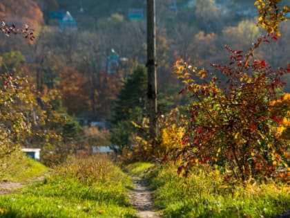 Какой будет погода на неделе в Краснодарском крае