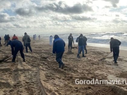 Добровольцы Армавира очищают от мазута берег анапского Витязево