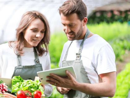 Россельхозбанком разработаны сервисы и финансовые продукты для развития бизнеса на платформах «Свое родное» и «Свое за городом»