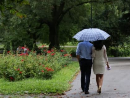 В Краснодаре 300 млн рублей вложат в сквер на Западном обходе