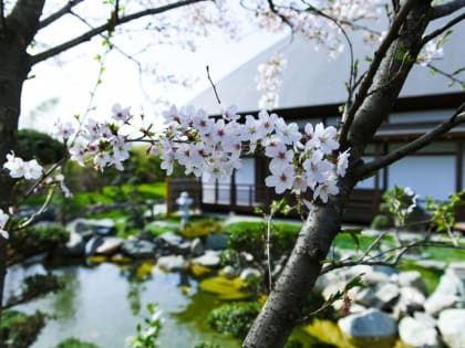 Синоптики дали неожиданный прогноз на начало мая-2024 в Краснодарском крае