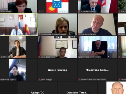 В Горсобрании состоялось заседание терр.группы Адлерского района