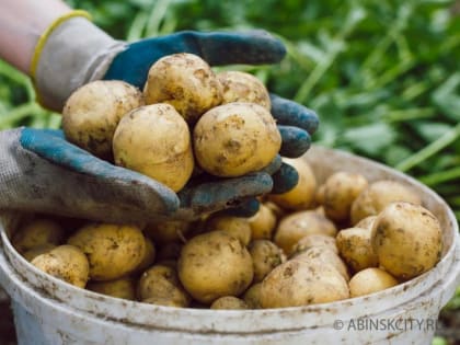 ВНИМАНИЮ НАСЕЛЕНИЯ!