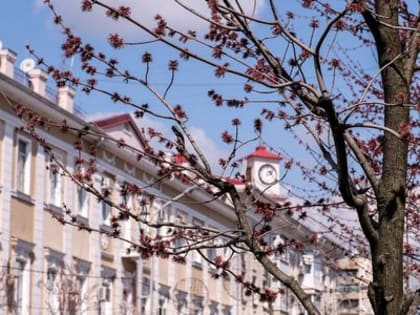 Кубань в ожидании потепления