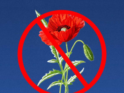 Геленджичане, призываем активно принять участие!