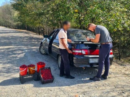 В НОВОРОССИЙСКЕ СНИЗИЛОСЬ КОЛИЧЕСТВО ФАКТОВ НЕСАНКЦИОНИРОВАННОЙ ТОРГОВЛИ ВДОЛЬ АВТОМОБИЛЬНЫХ ДОРОГ ОБЩЕГО ПОЛЬЗОВАНИЯ