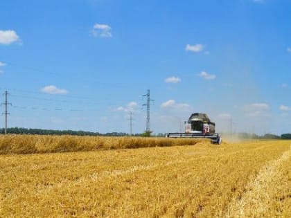 Энергетики напоминают о правилах электробезопасности во время уборочной кампании