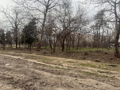 Стартовало благоустройство Николаевского бульвара