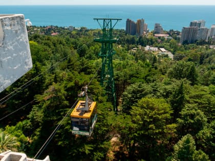 Канатную дорогу в сочинском Дендрарии закрыли до 6 марта