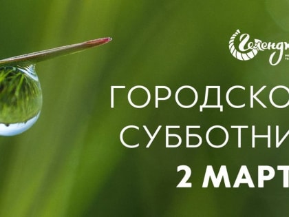 2 марта - общегородской субботник