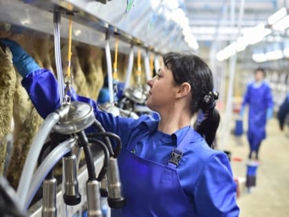 В 2023 году Кубань увеличит производство молока