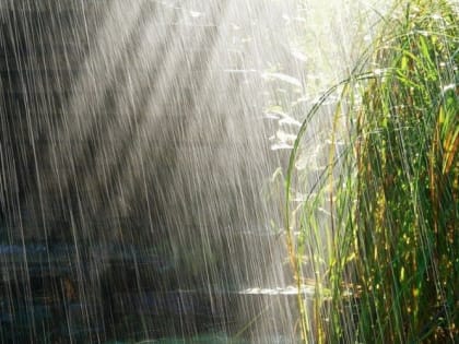 Сочинцев предупредили о неблагоприятном прогнозе