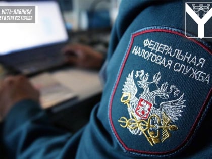 Сервис оценки юридических лиц