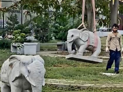 Эвакуация слоников в Новороссийске