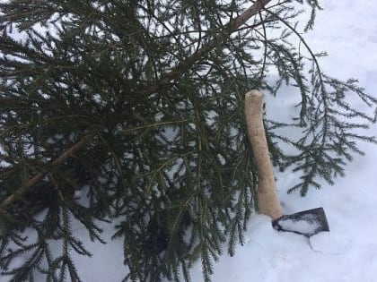 Полицейские проводят мероприятия