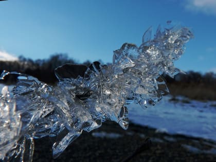 Каким на Кубани бывает декабрь? Еще осень или уже зима?