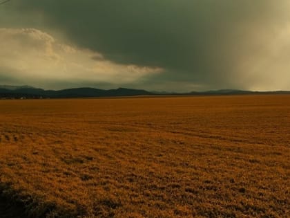 Морозы возвращаются: на Кубани минусовая температура