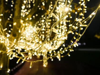 Парк «Краснодар» преображается перед предстоящими зимними праздниками (фото)