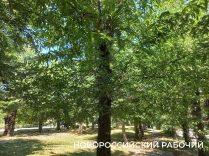 Новые горизонты Новороссийска: развитие жилого строительства