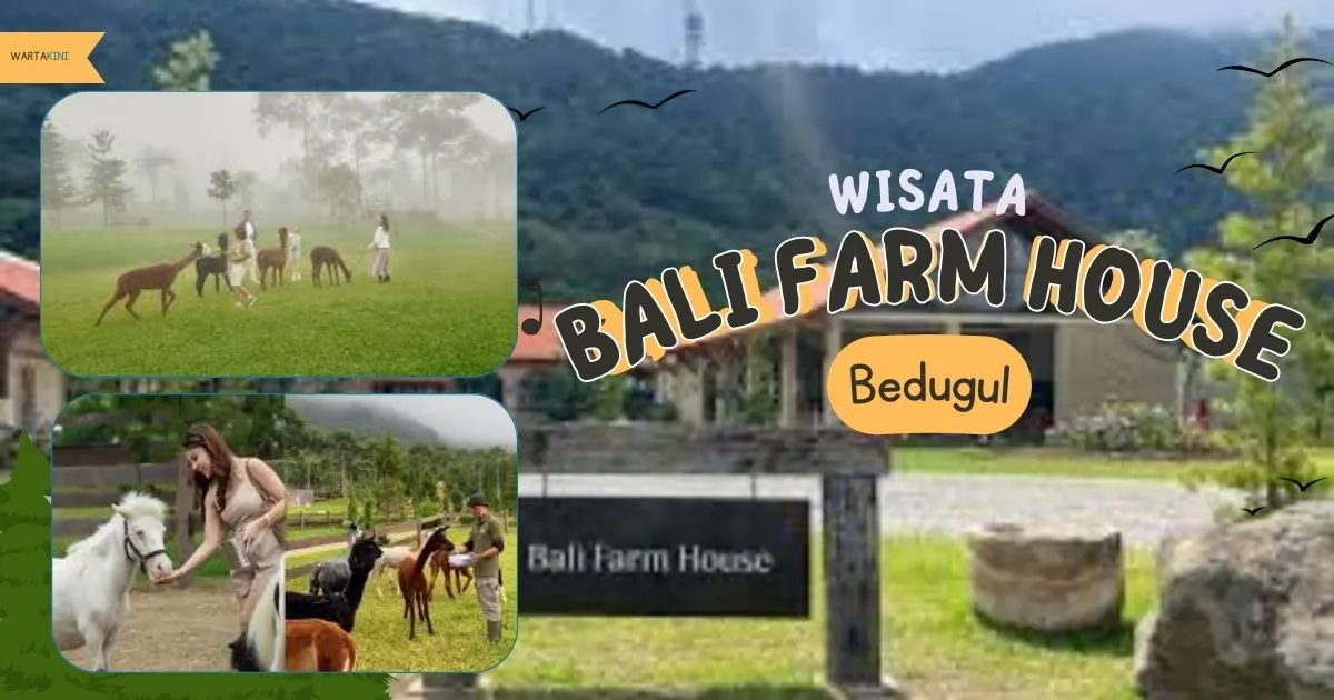Wisata Bali Farm House Bedugul