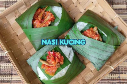 Nasi Kucing