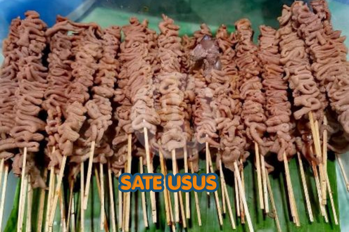 Sate Usus