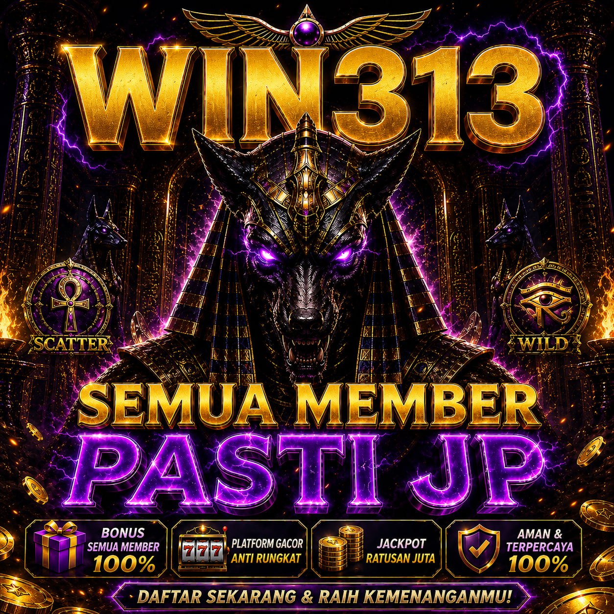 win313 Pro