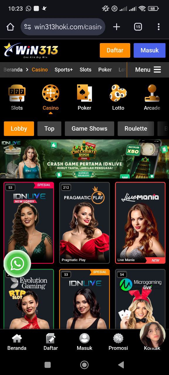 Profil pengguna win313