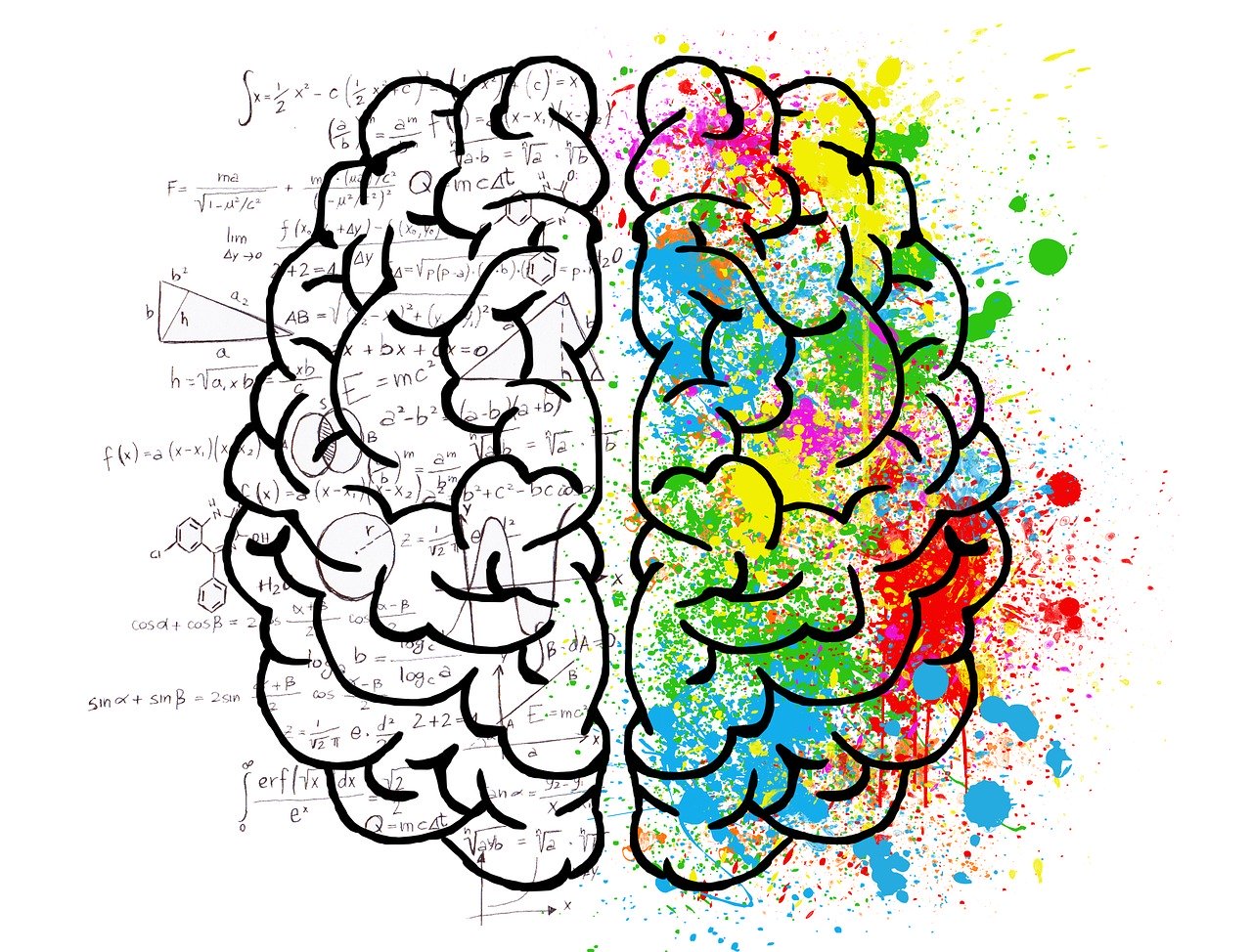 Left and Right Brain
