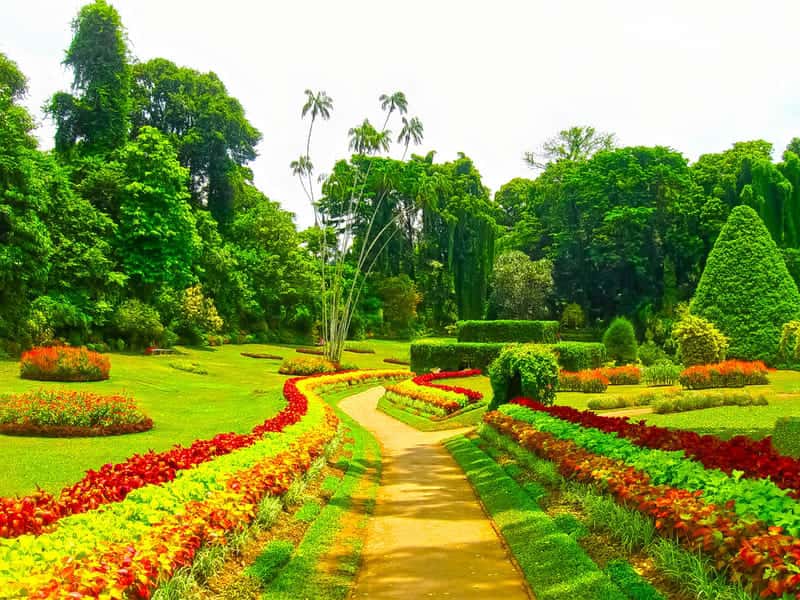 Sri Lanka - Buy 1 Get 1 Free