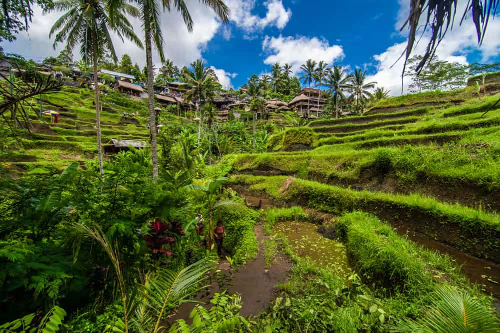 Memorable Bali - Honeymoon Special